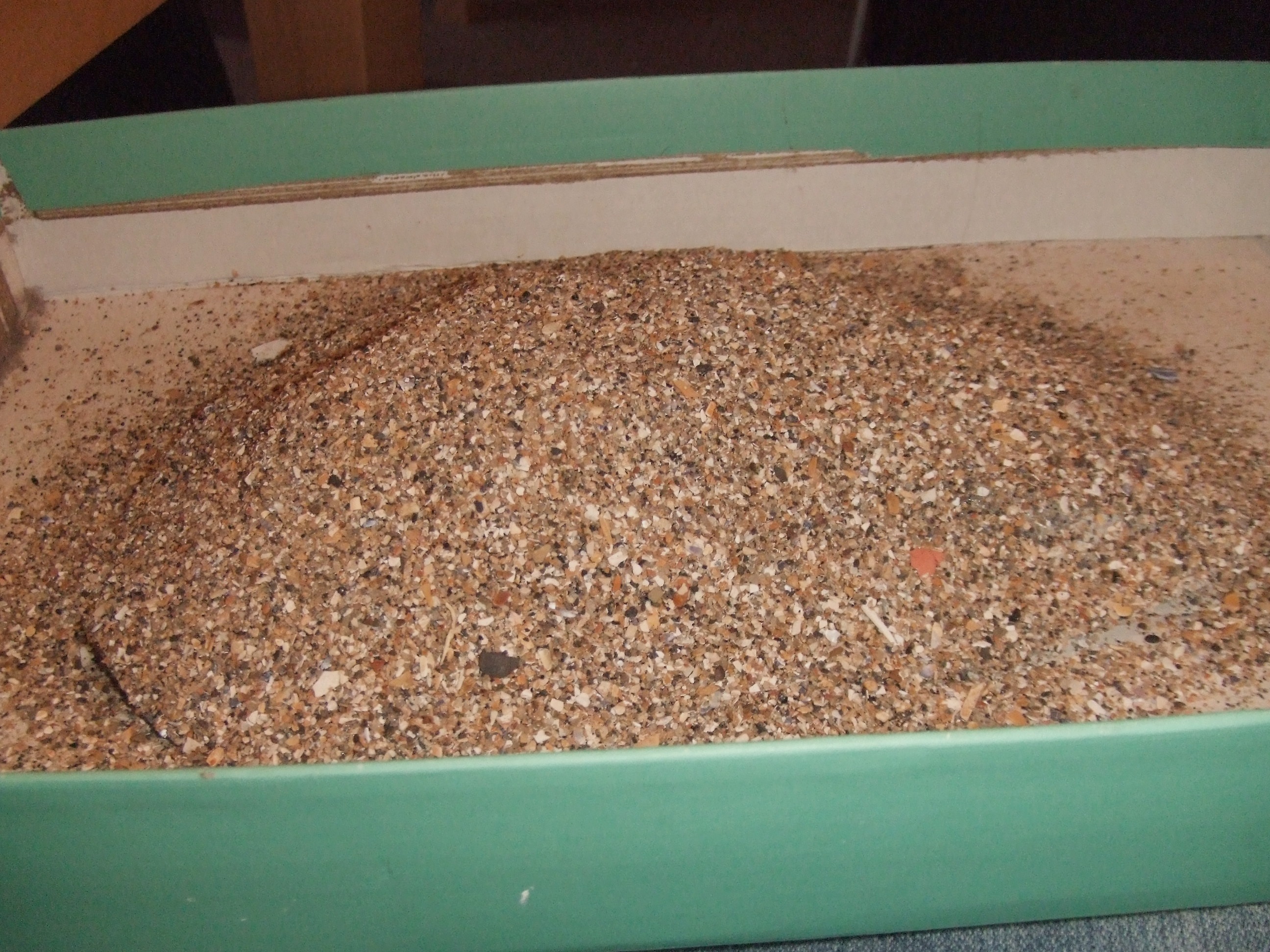 sand-coating sand-coating