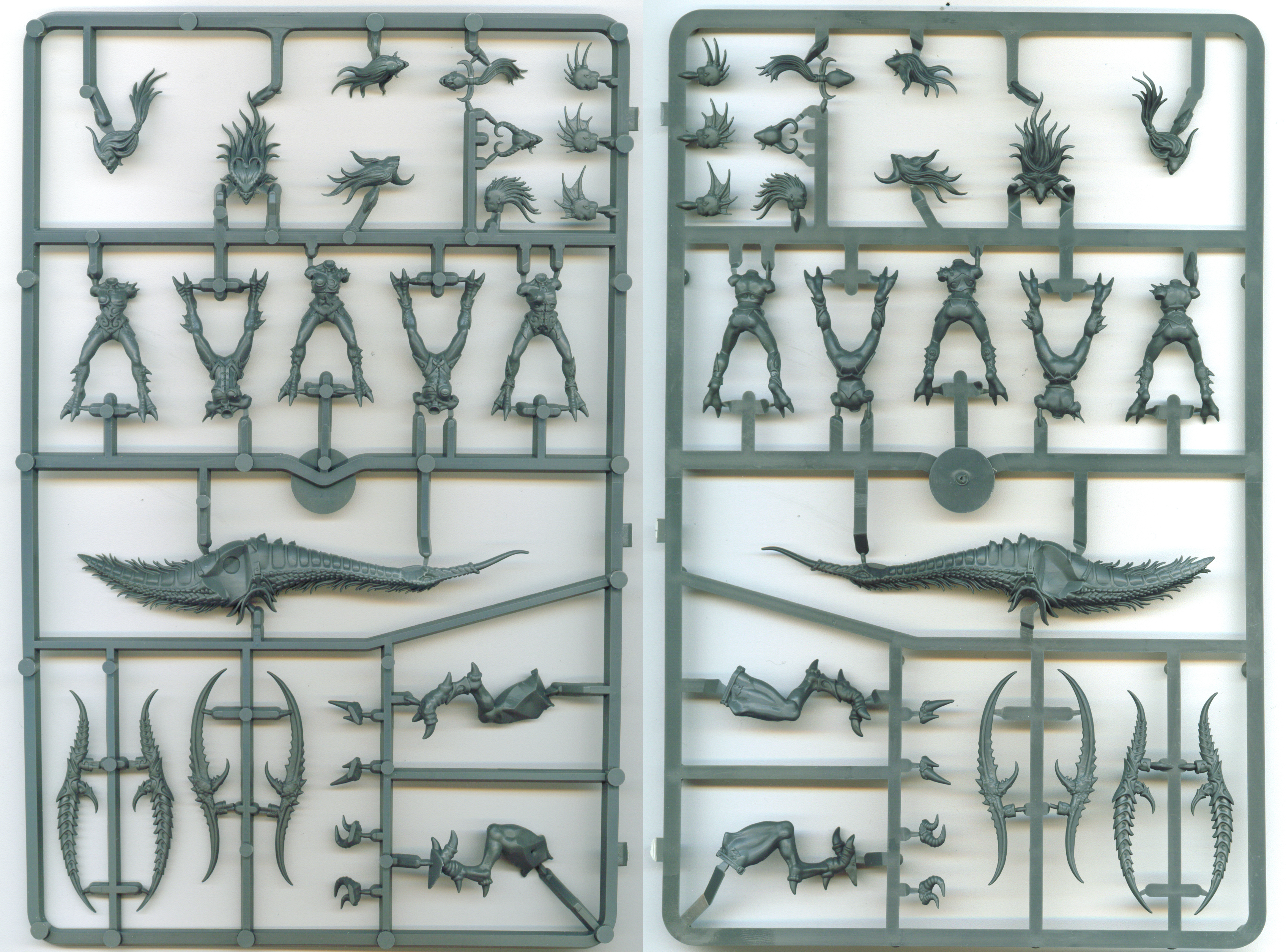 seekers-of-slaanesh-1 seekers-of-slaanesh-1