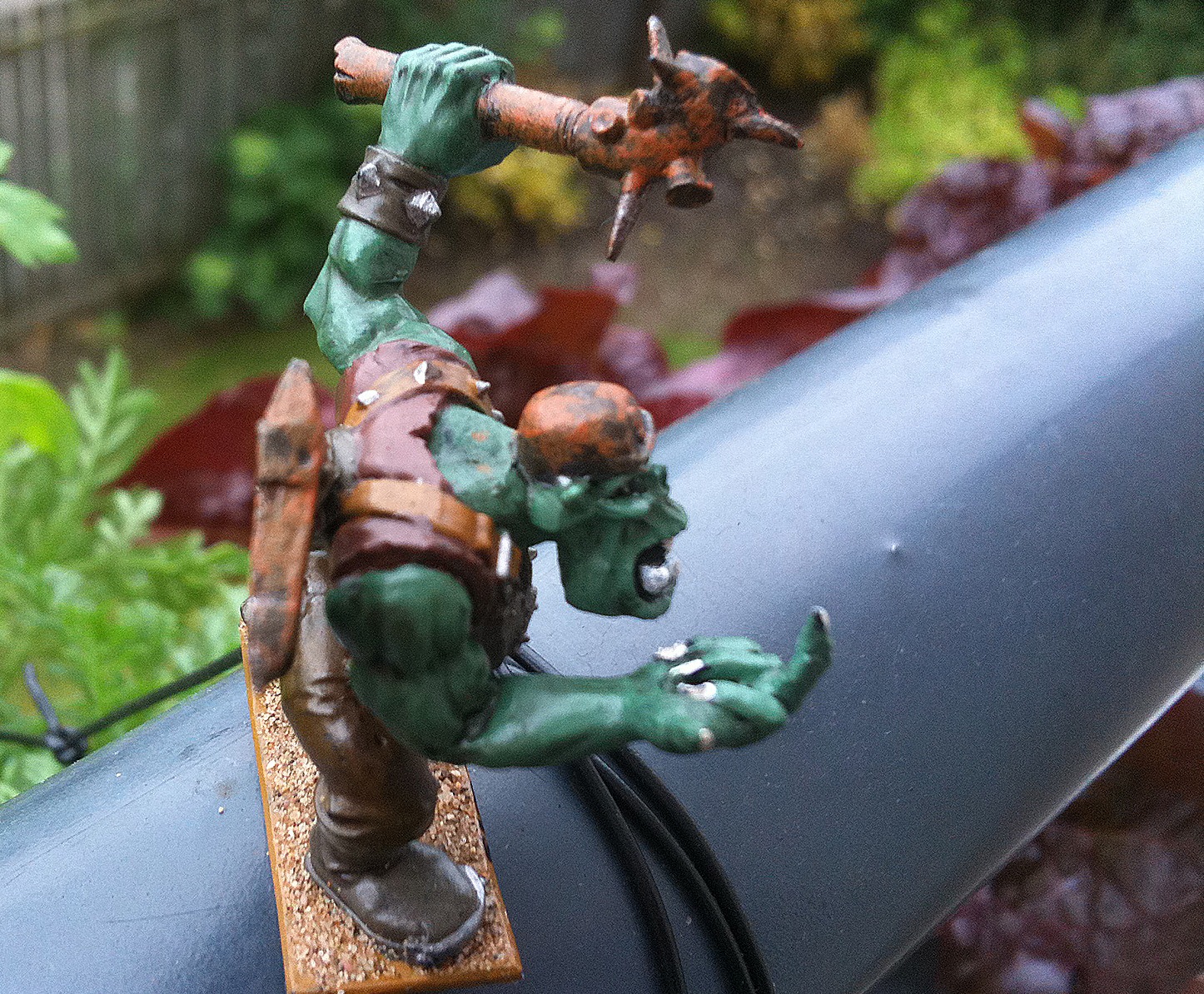 skrognik-4 skrognik-4